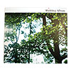Wedding Album CD
