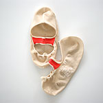 �A���e�B�p�X�g | STRAP SOCKS :  : �V���[�g�\�b�N�X