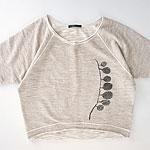 �N���[�[�b�g | sweat short-T :  : 