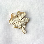 �~�i �y���z�l�� | clover :  : �u���[�`